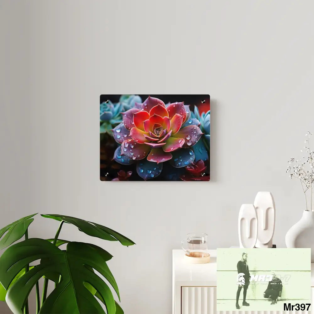 Close-up of Vibrant Succulent Plant with Water Droplets Wall Art Panels Home Decor