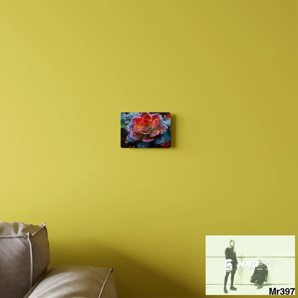 Close-up of Vibrant Succulent Plant with Water Droplets Wall Art Panels Home Decor