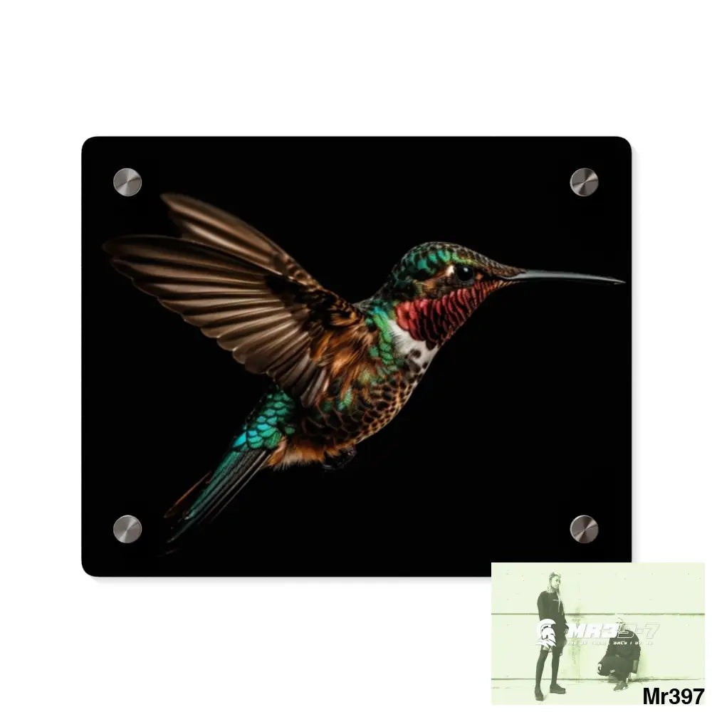 Colourful Hummingbird in Flight with Wings Spread Wide Open acrylic Art Panels 10″ x 8″ (Horizontal) / 0.25’’ Home Decor
