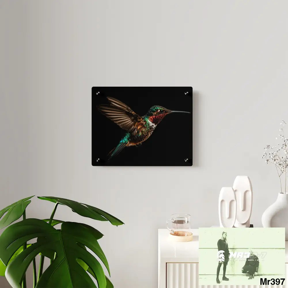 Colourful Hummingbird in Flight with Wings Spread Wide Open acrylic Art Panels Home Decor