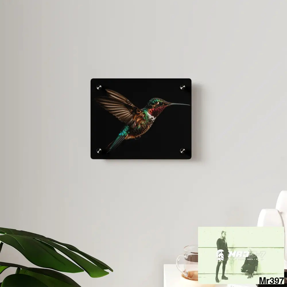 Colourful Hummingbird in Flight with Wings Spread Wide Open acrylic Art Panels Home Decor