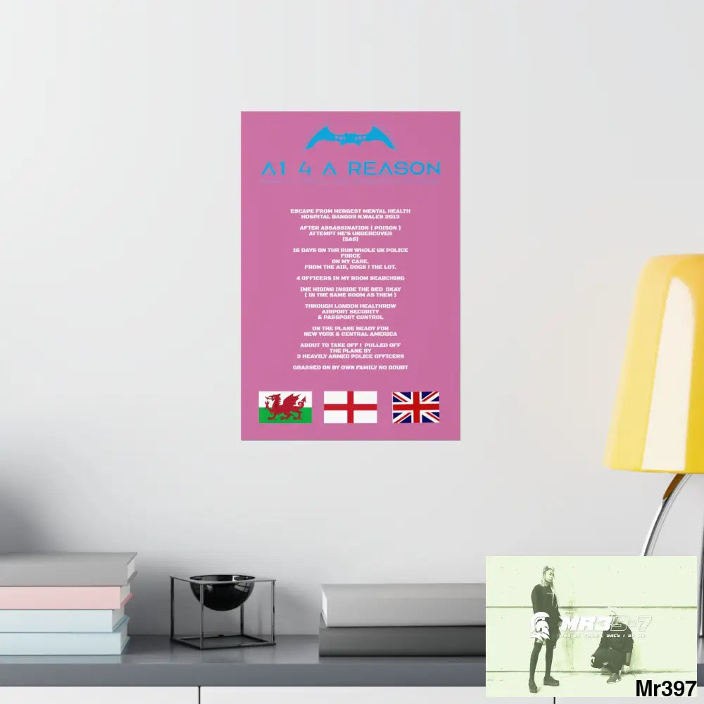 Copy of A1 4 A Reason Escape from Hergest MH Hospital 2013 Matte Vertical Posters Poster