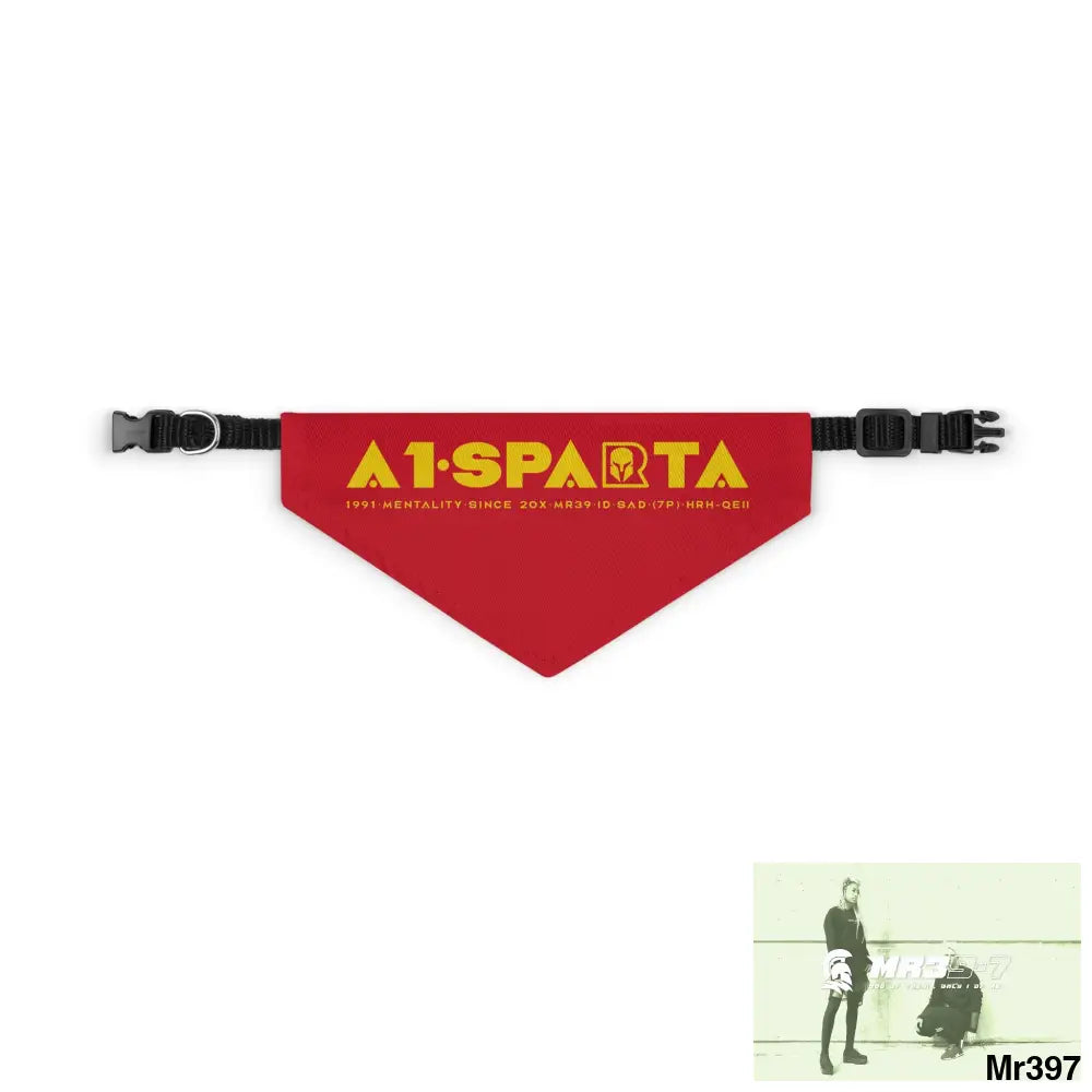 Copy of A1--Sparta Pet Bandana Collar S Pets