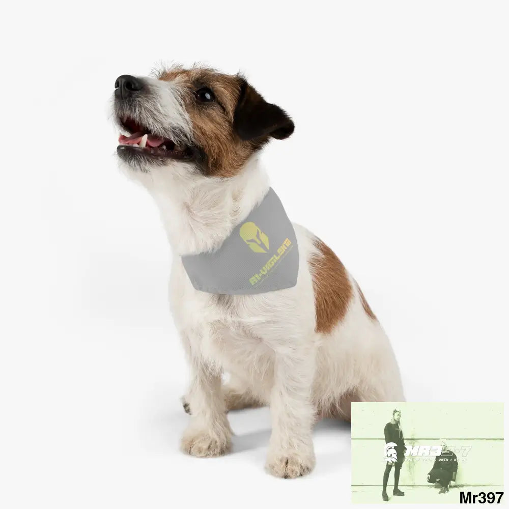 Copy of Copy of A1-Vigilante-Sparta Pet Bandana Collar Pets