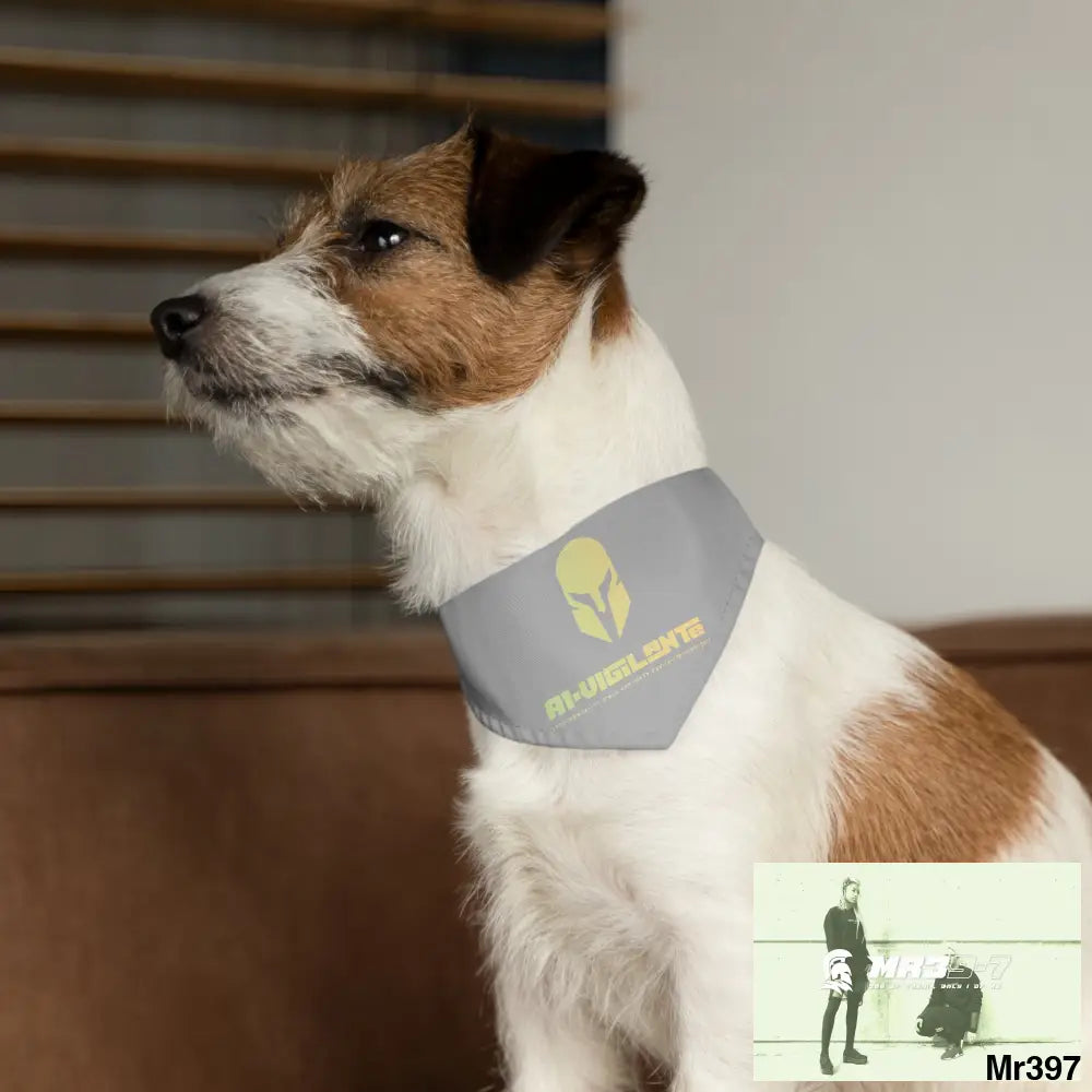 Copy of Copy of A1-Vigilante-Sparta Pet Bandana Collar Pets
