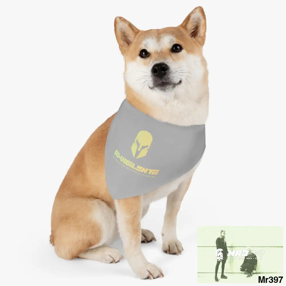 Copy of Copy of A1-Vigilante-Sparta Pet Bandana Collar Pets