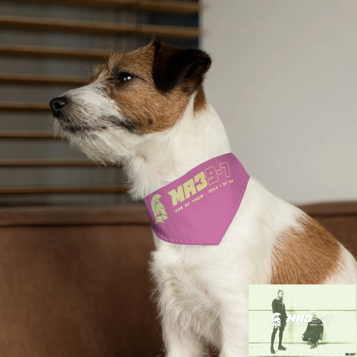 Copy of MR39 Pet Bandana Collar Pets