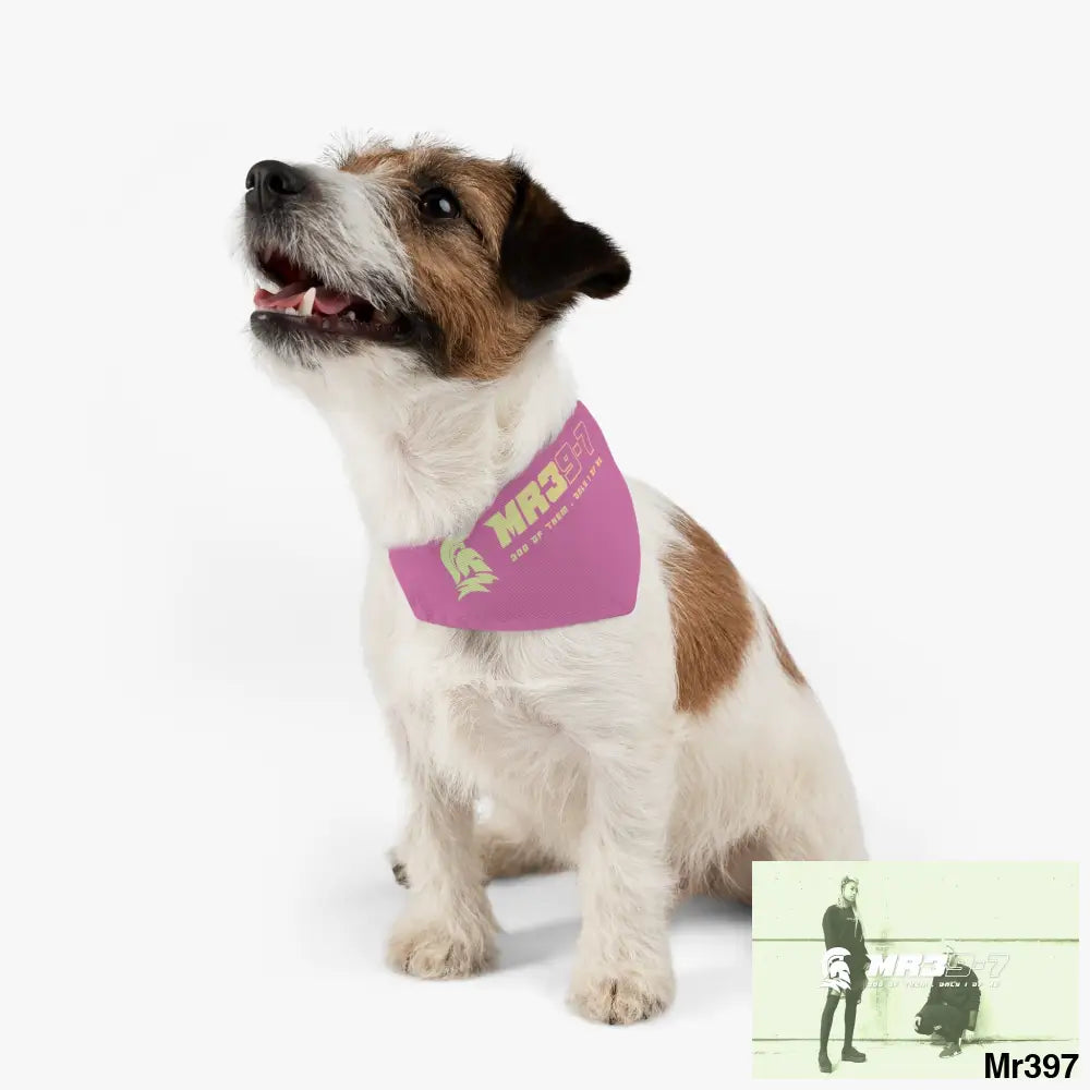 Copy of MR39 Pet Bandana Collar Pets