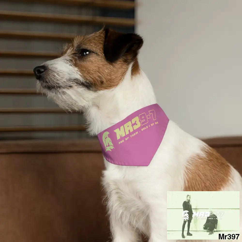 Copy of MR39 Pet Bandana Collar Pets