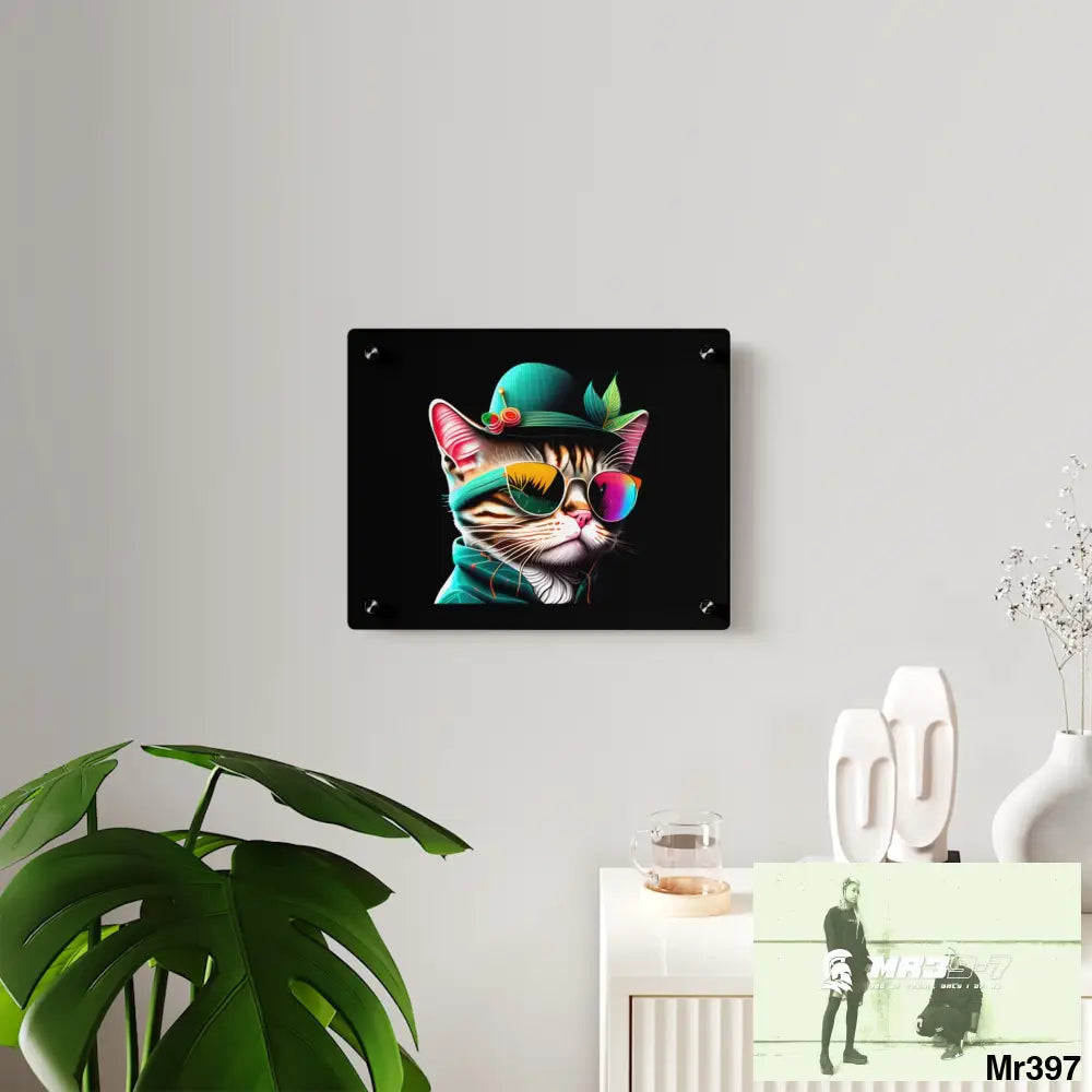 Dancing Cat with Sunglasses and Hat acrylic Art Panels Home Decor
