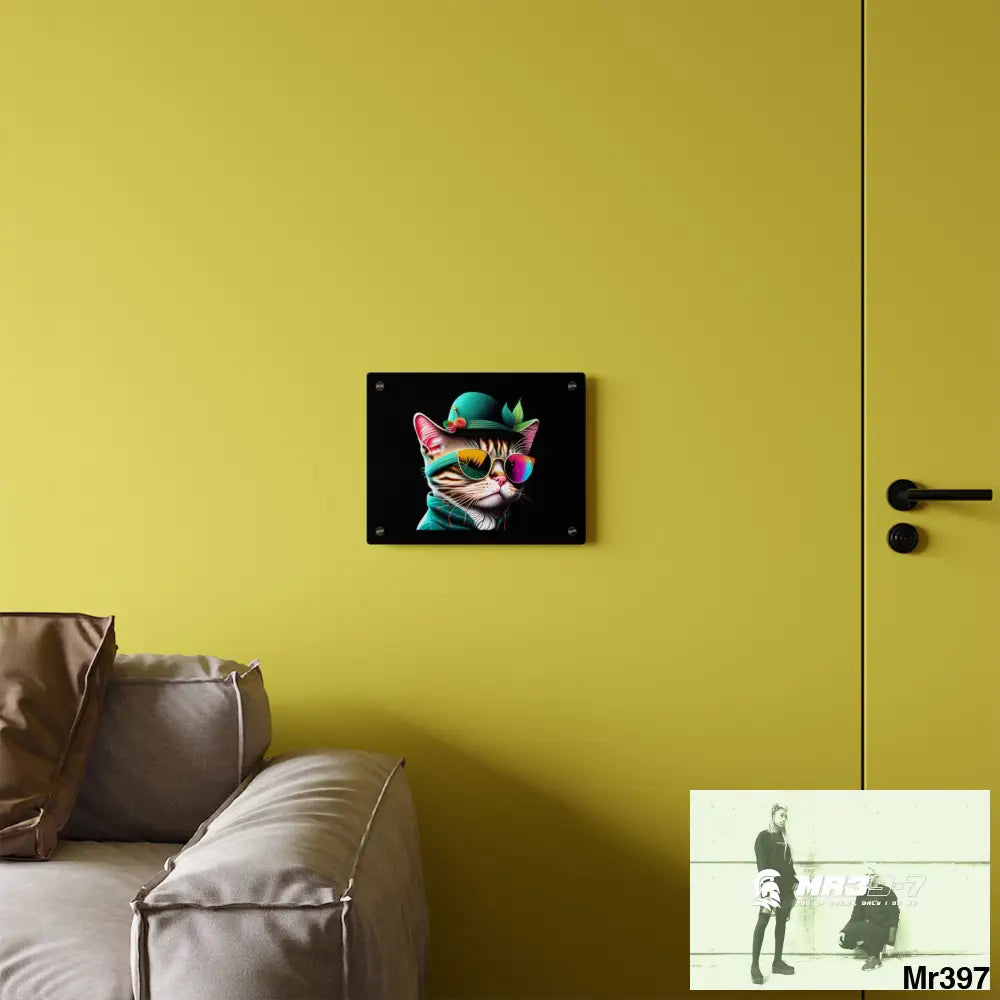 Dancing Cat with Sunglasses and Hat acrylic Art Panels Home Decor