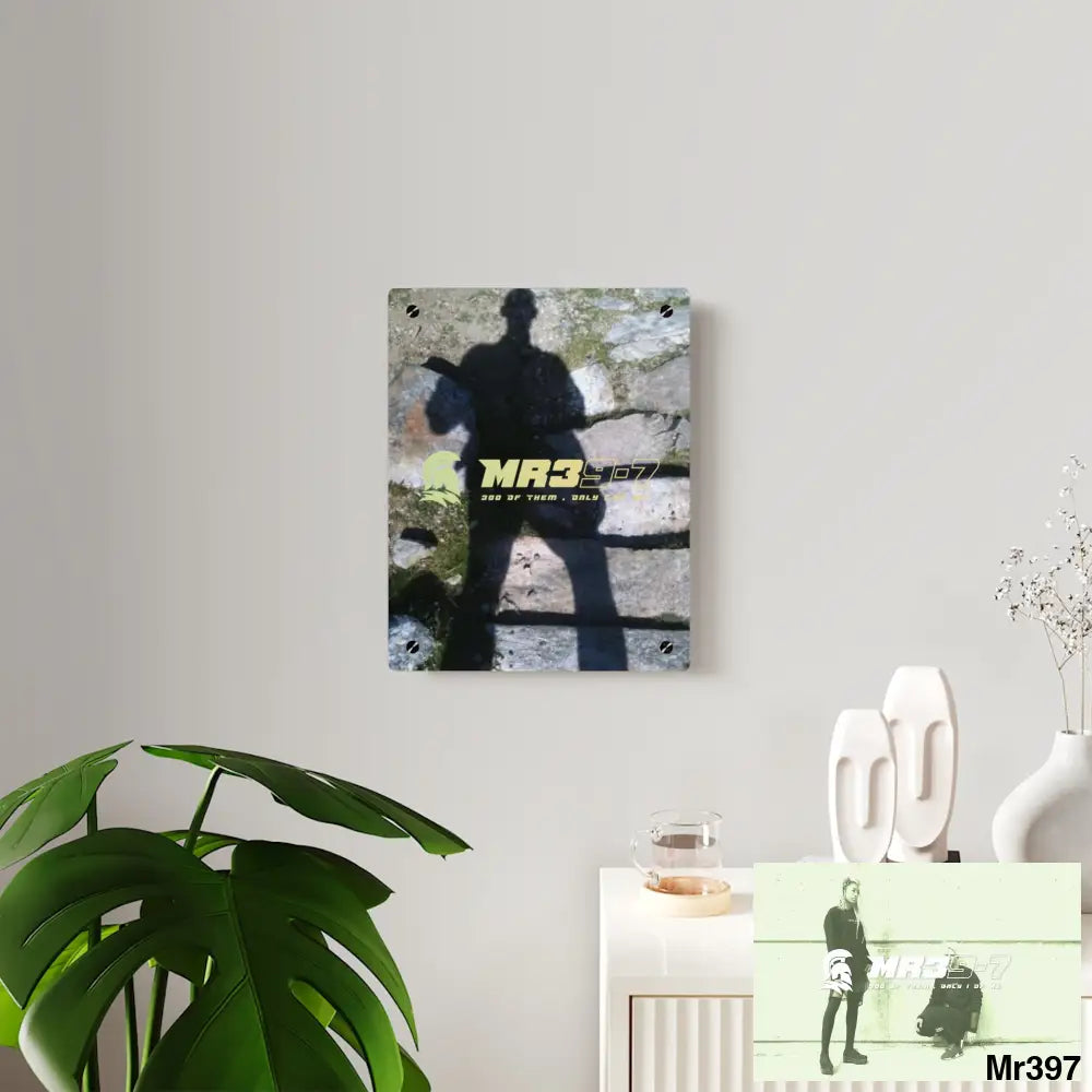 MR39-7 116lbs A1 man war on fk Ups Vigilante training 20X Cadair Idris Acrylic Wall Art Panels Home Decor
