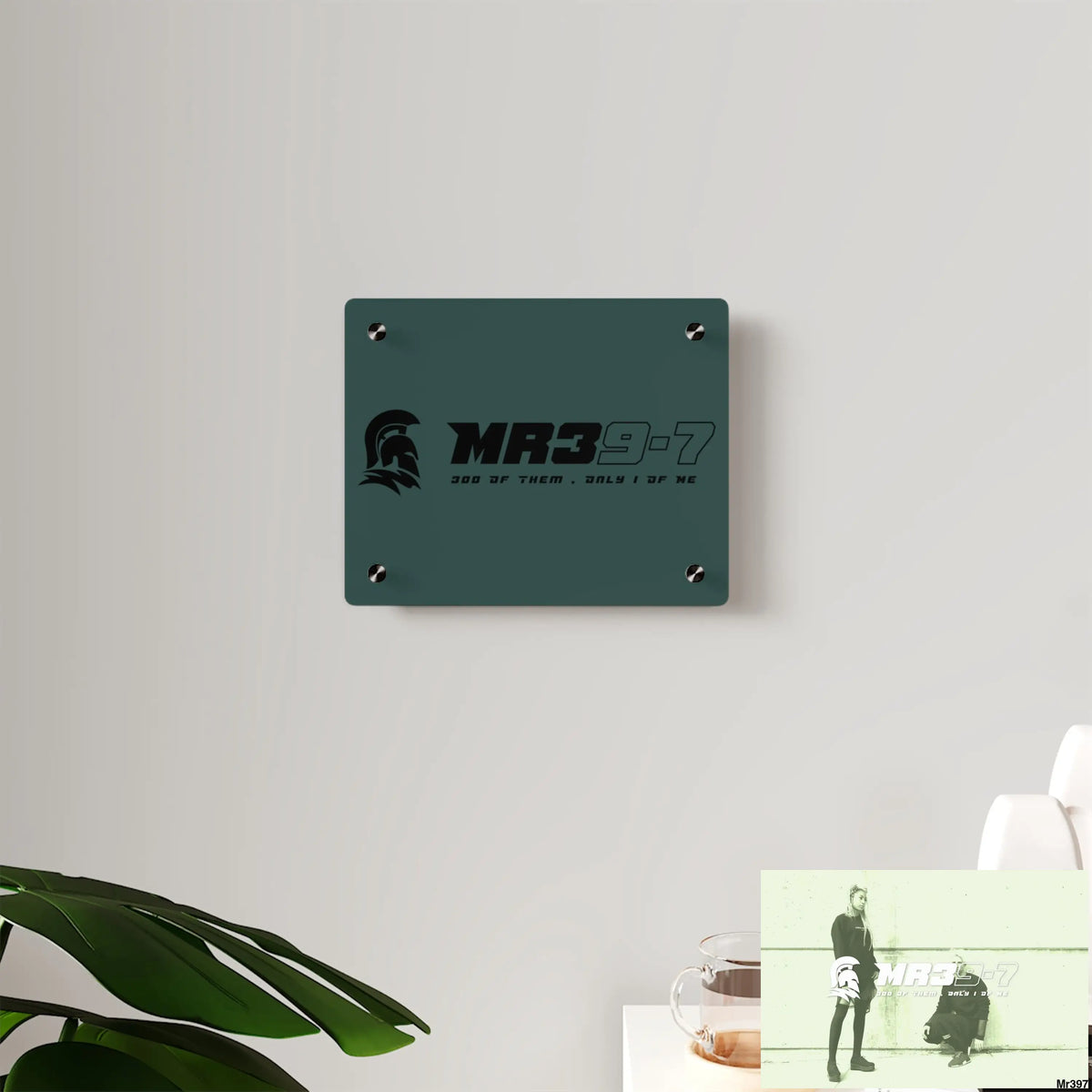 MR39-7 Acrylic Wall Art Panels Home Decor