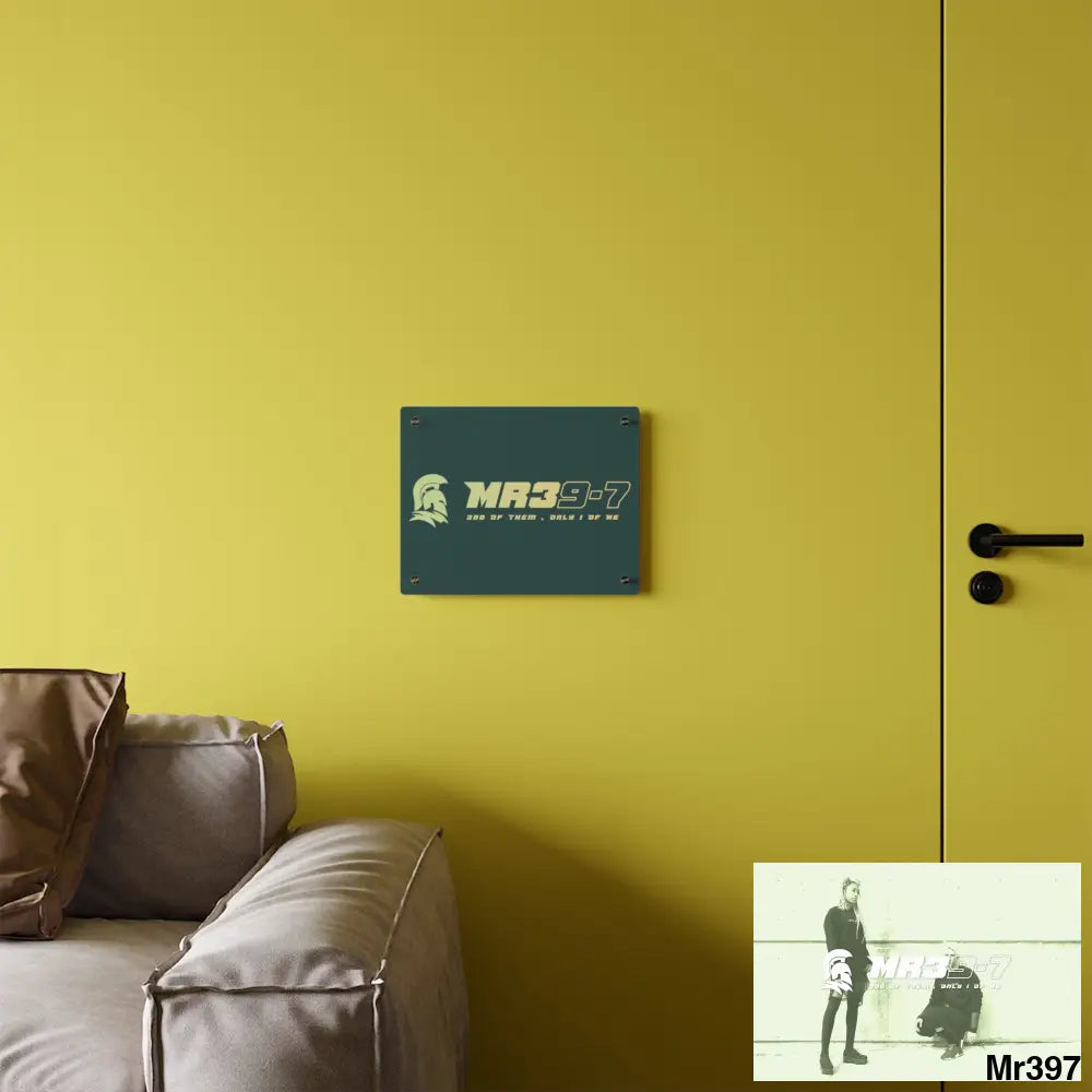 MR39-7 Acrylic Wall Art Panels Home Decor