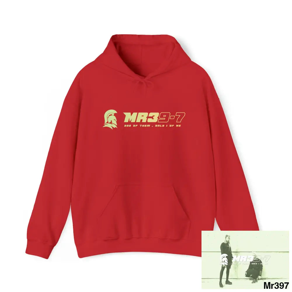 MR39-7 Egypt Dahab in Blind 2014 Heavy Blend™ Hooded Sweatshirt Red / S Hoodie