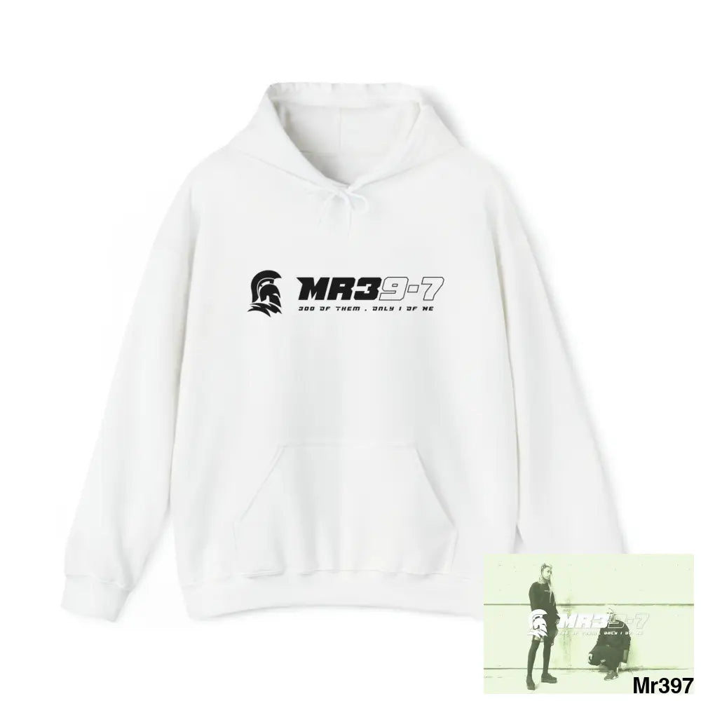 MR39-7 Egypt Dahab in Blind 2014 Heavy Blend™ Hooded Sweatshirt White / M Hoodie