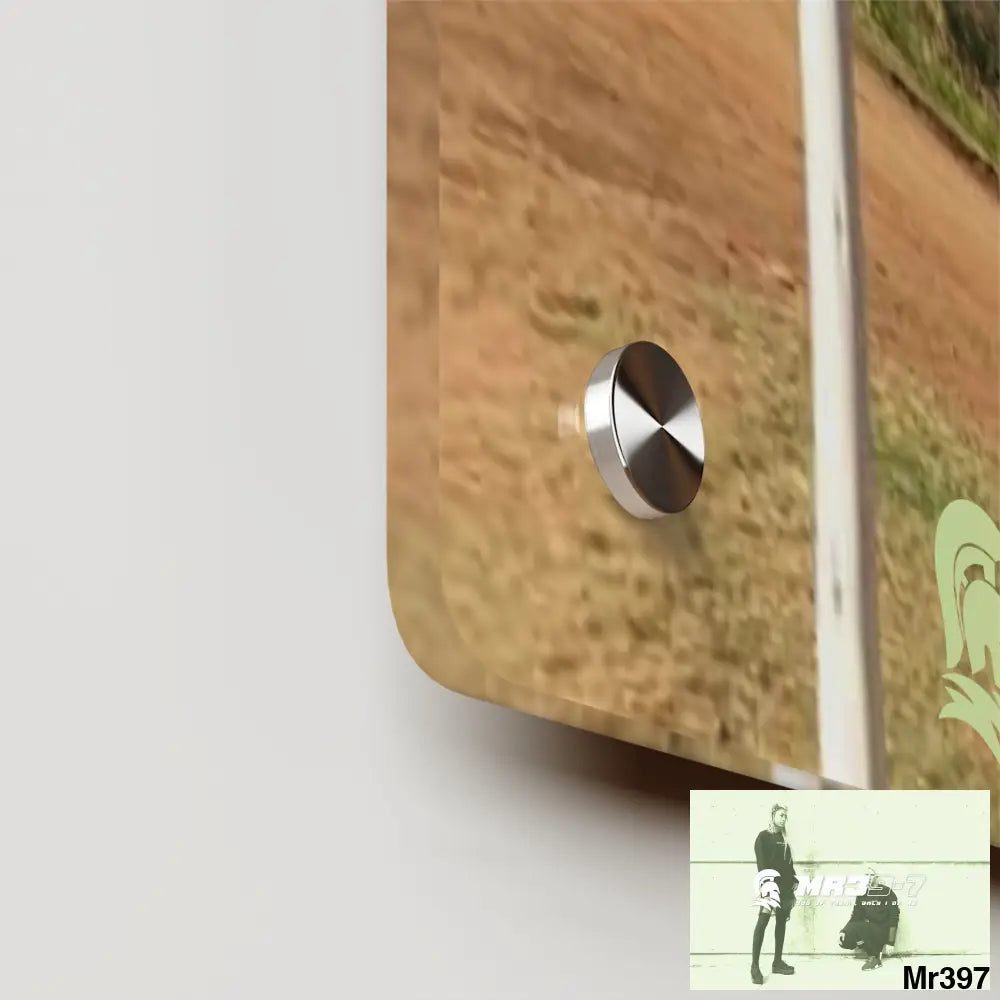 MR39-7 Kenya Equator Tactical pick up 2015 Acrylic Wall Art Panels Home Decor