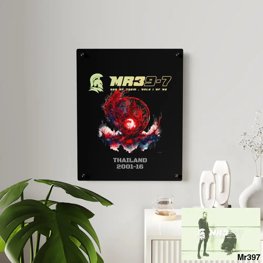 MR39-7 Thailand 2001-16 Abstract Yin-Yang Symbol in Red and Black- Acrylic Wall Art Panels Home Decor