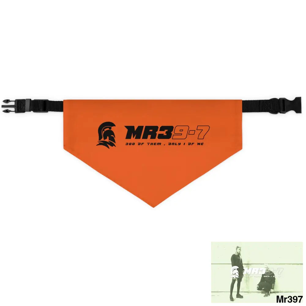 MR39 Pet Bandana Collar L Pets