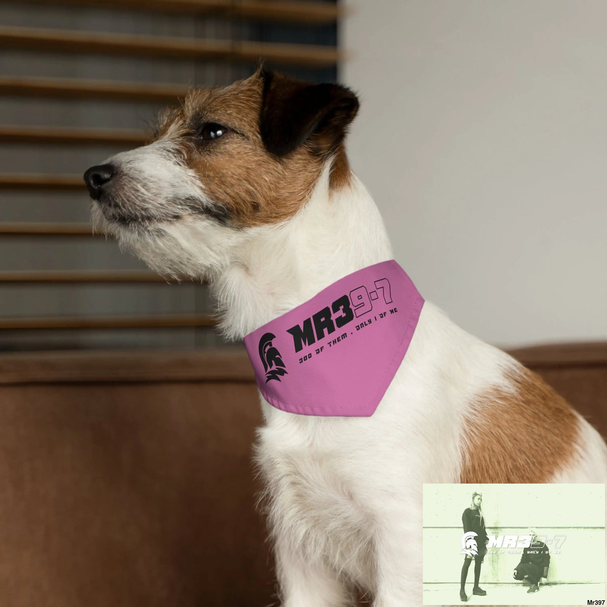 MR39 Pet Bandana Collar Pets