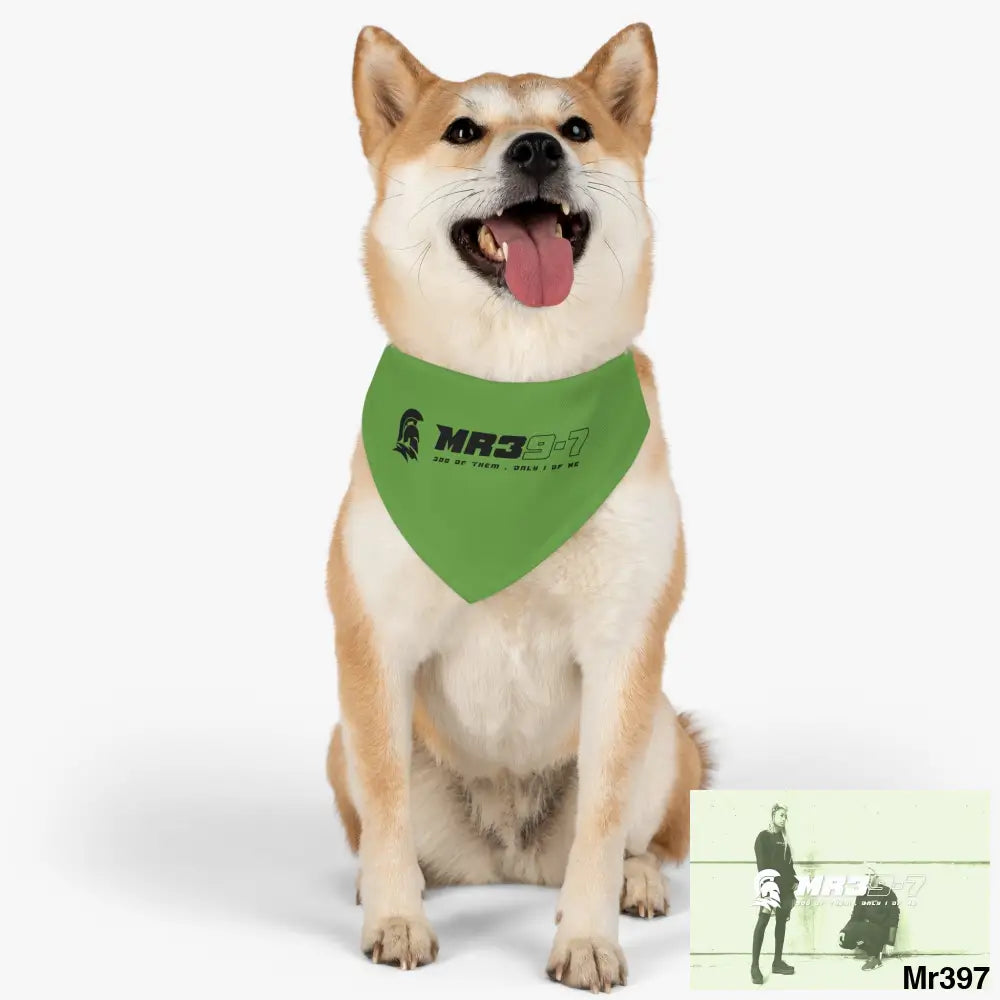 MR39 Pet Bandana Collar Pets