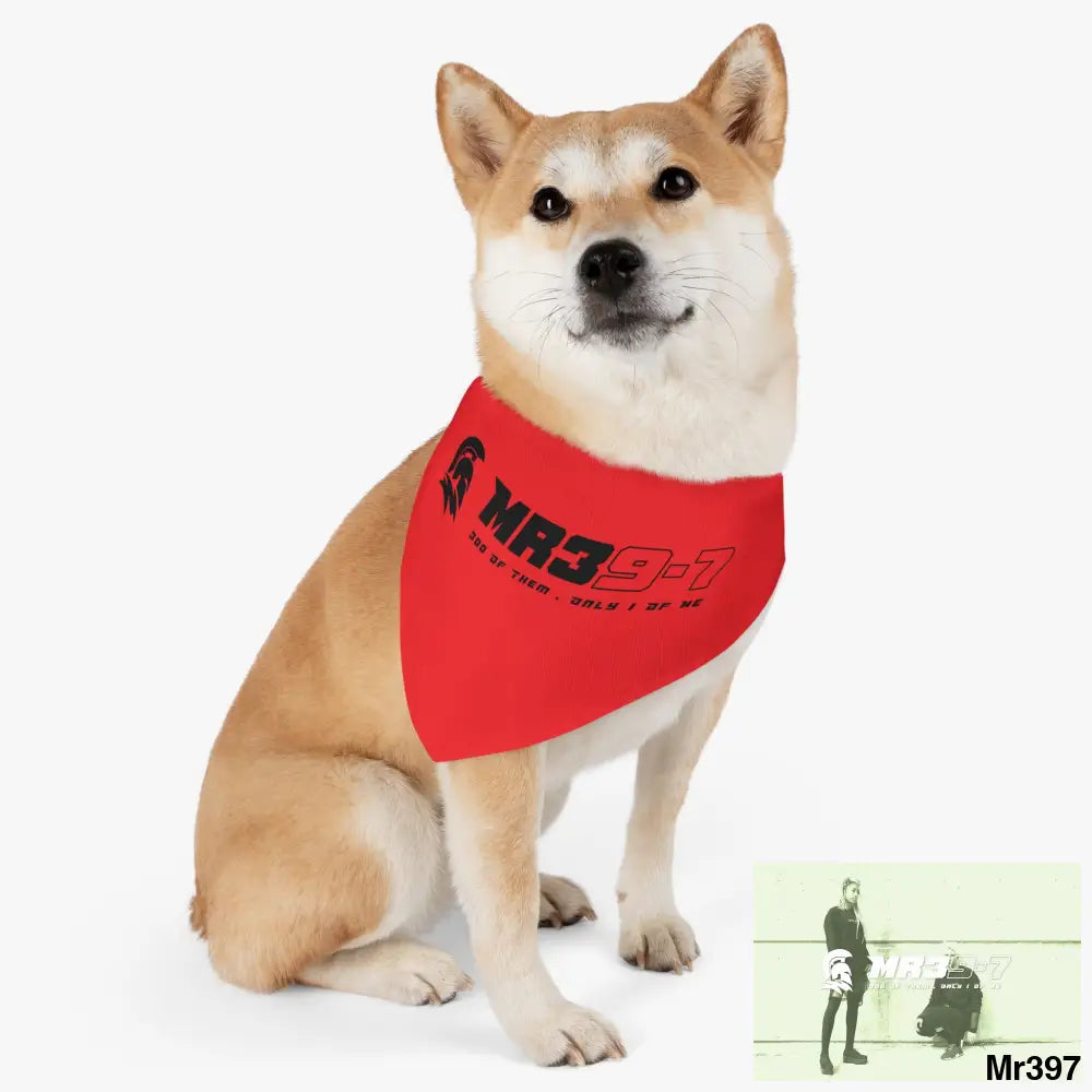 MR39 Pet Bandana Collar Pets