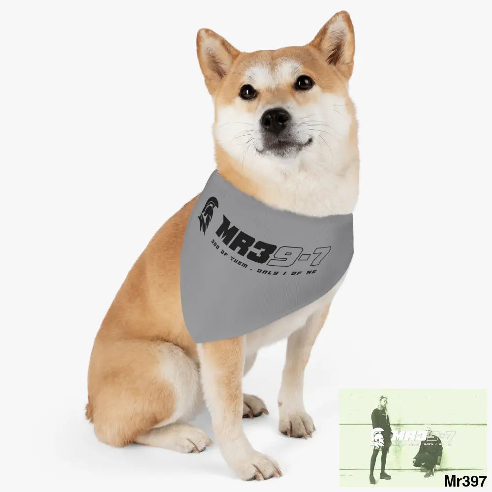 MR39 Pet Bandana Collar Pets