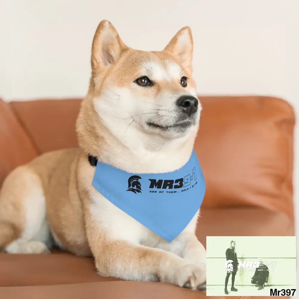MR39 Pet Bandana Collar Pets