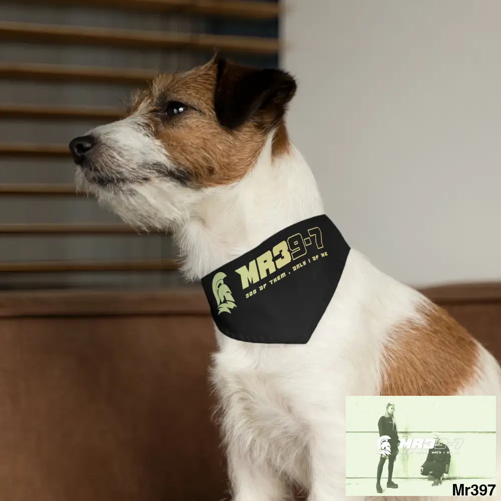 MR39 Pet Bandana Collar Pets