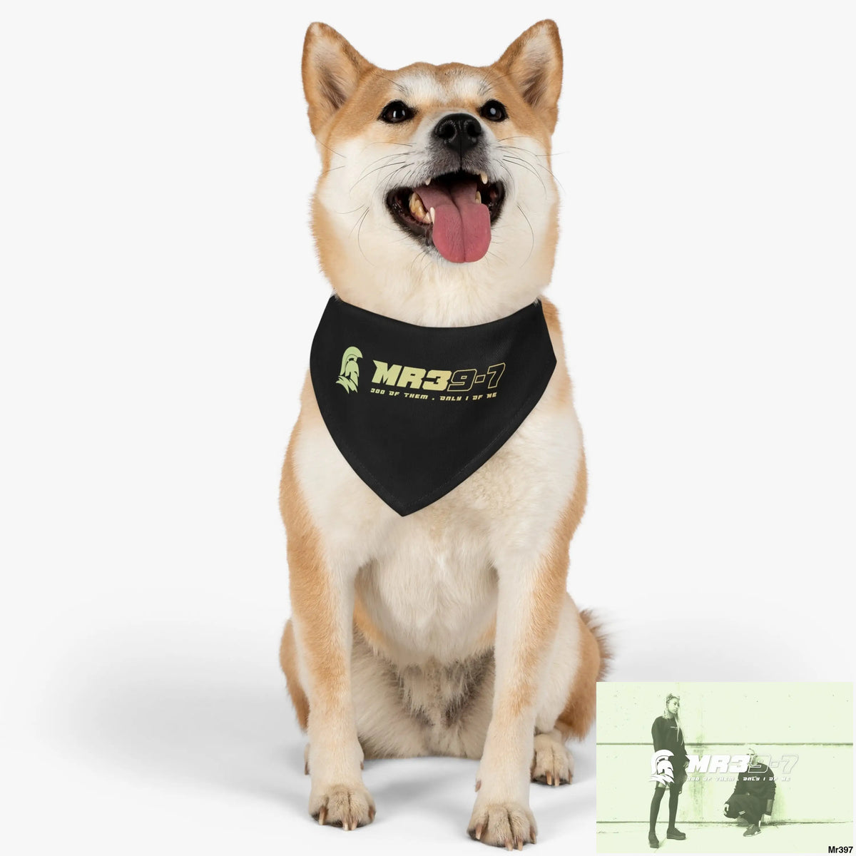 MR39 Pet Bandana Collar Pets