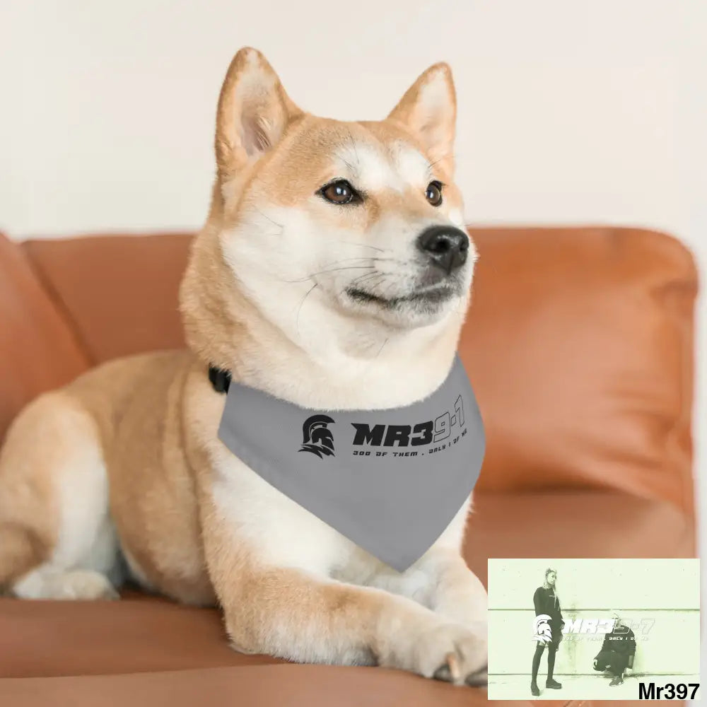 MR39 Pet Bandana Collar Pets