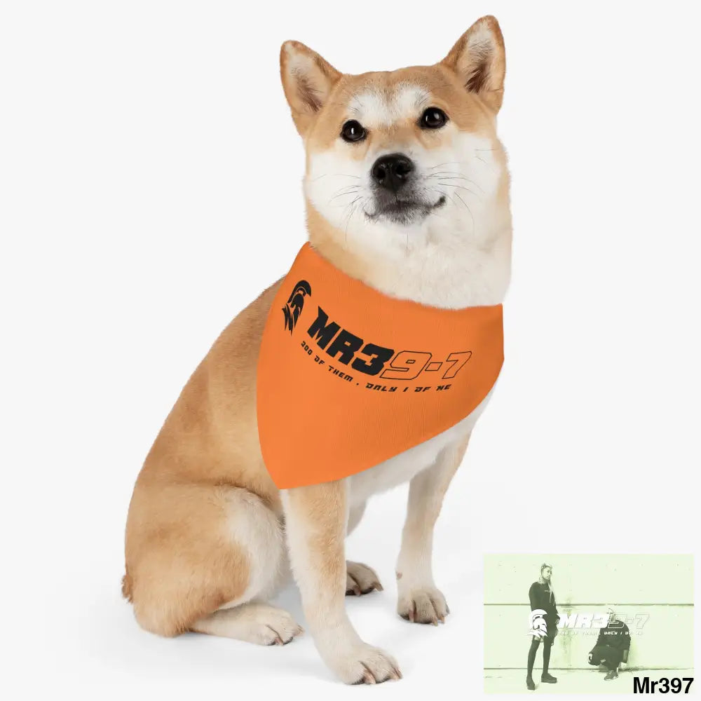 MR39 Pet Bandana Collar Pets