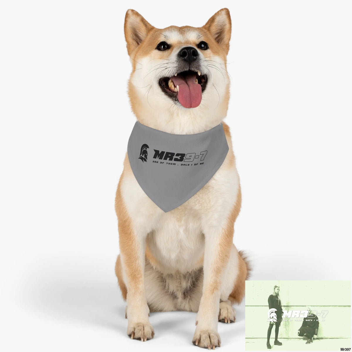 MR39 Pet Bandana Collar Pets