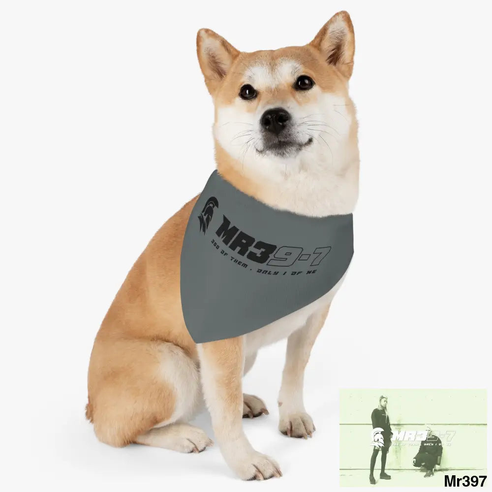 MR39 Pet Bandana Collar Pets