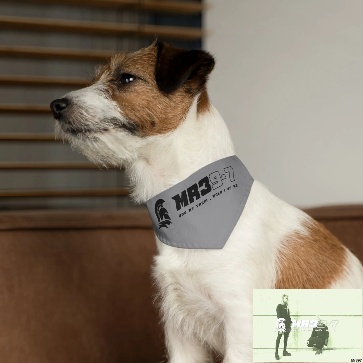 MR39 Pet Bandana Collar Pets