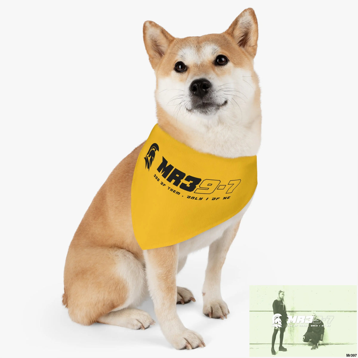MR39 Pet Bandana Collar Pets