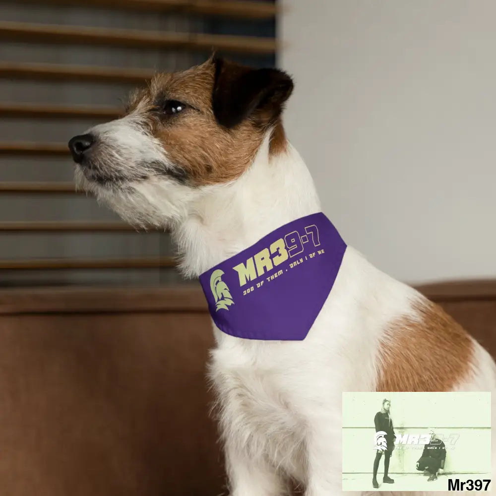 MR39 Pet Bandana Collar Pets