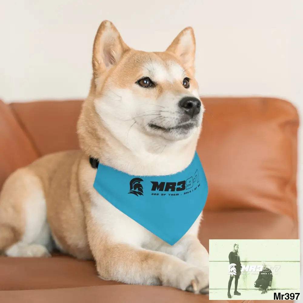 MR39 Pet Bandana Collar Pets