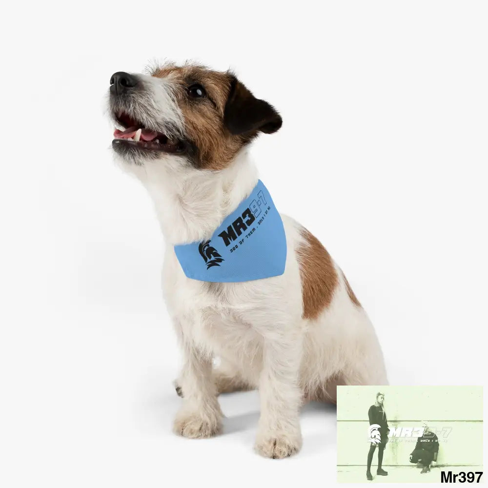 MR39 Pet Bandana Collar Pets