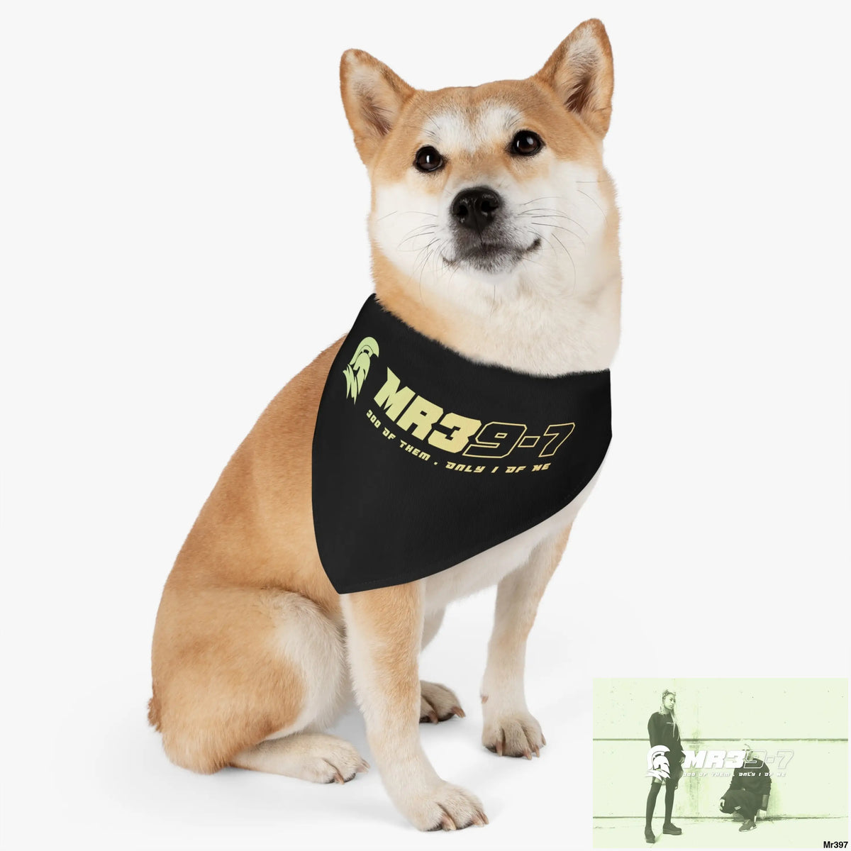 MR39 Pet Bandana Collar Pets