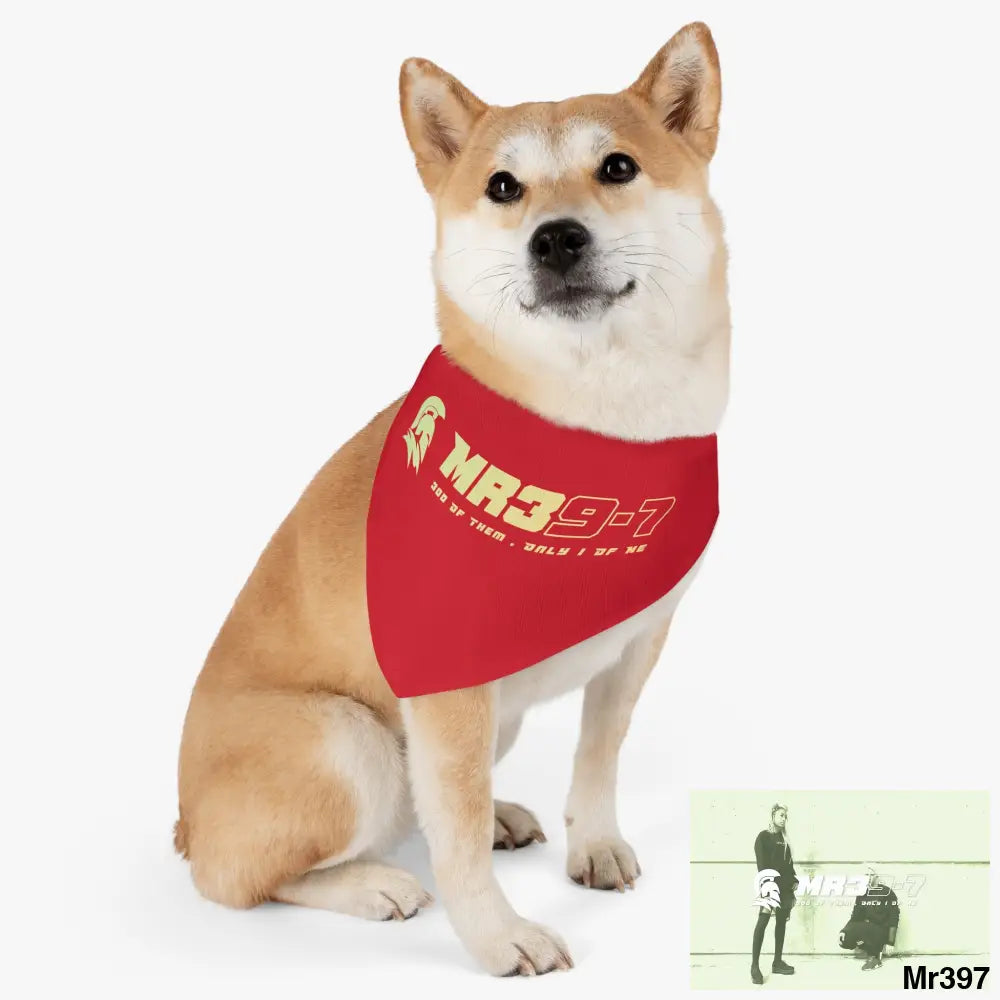 MR39 Pet Bandana Collar Pets