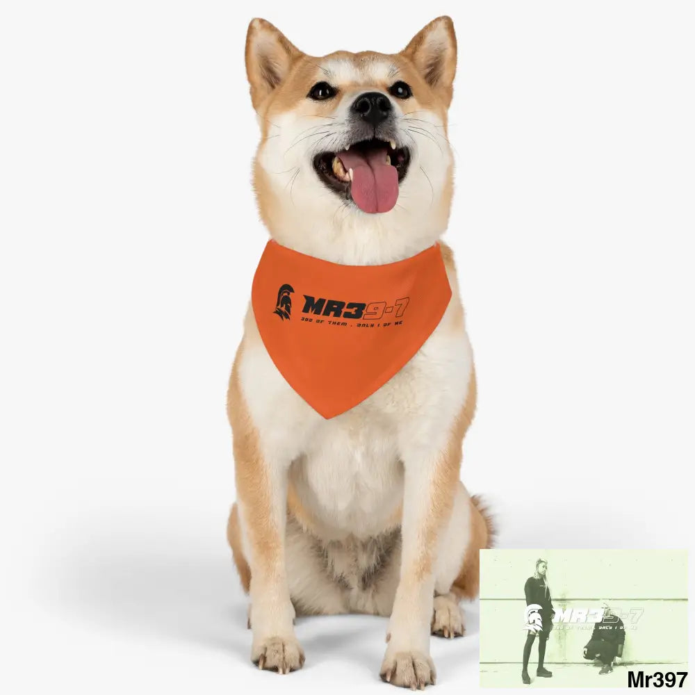 MR39 Pet Bandana Collar Pets