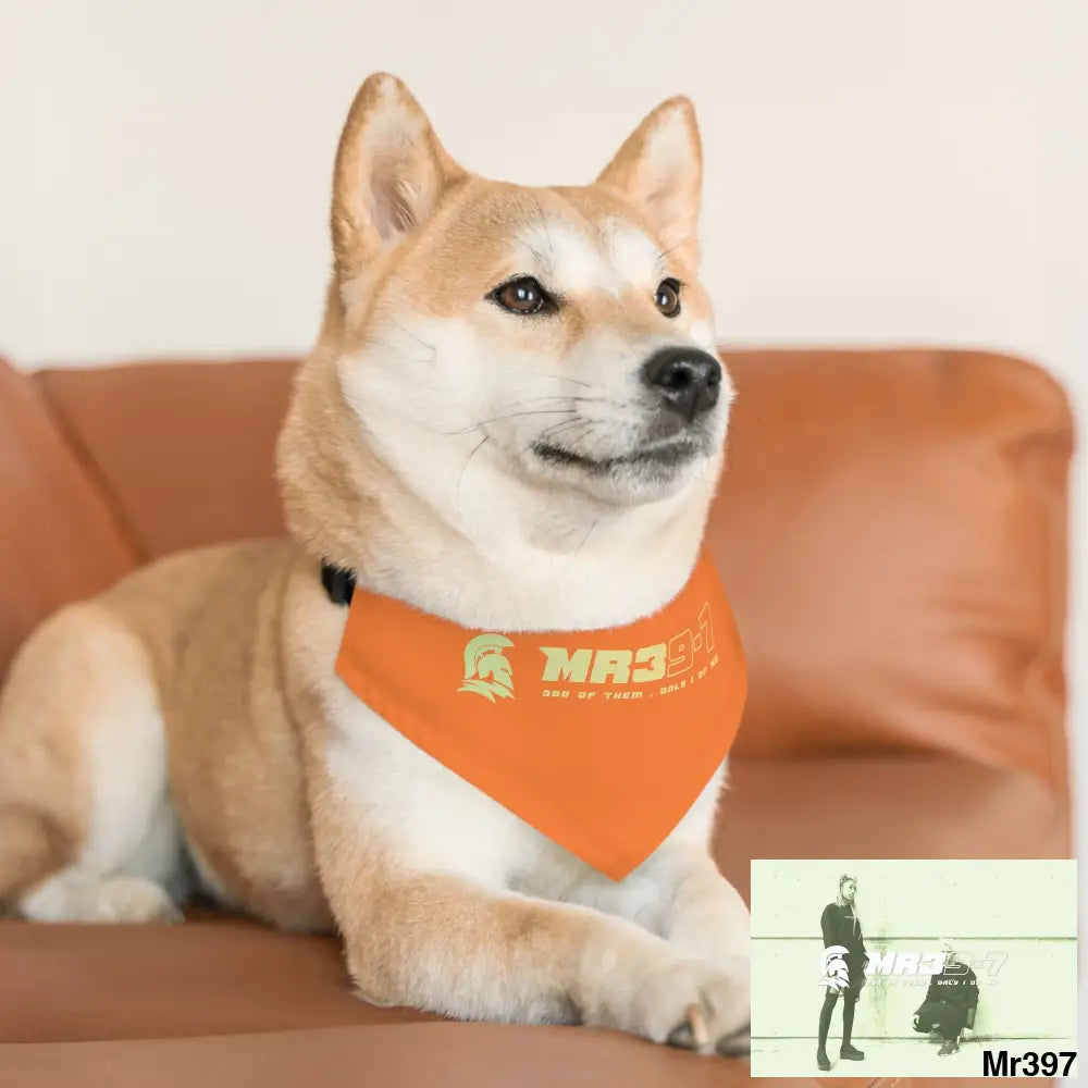 MR39 Pet Bandana Collar Pets