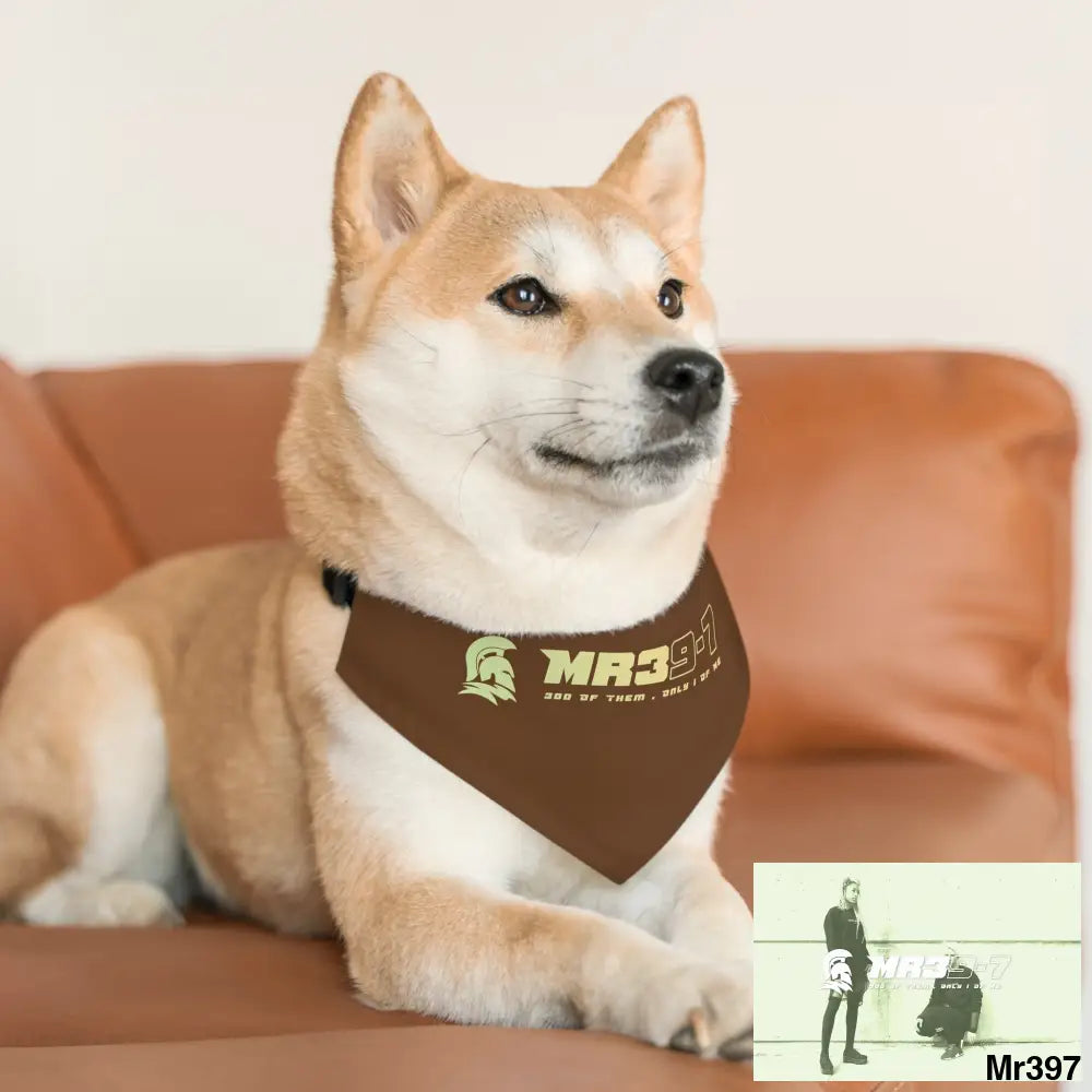 MR39 Pet Bandana Collar Pets