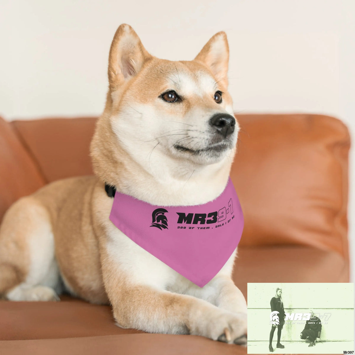 MR39 Pet Bandana Collar Pets
