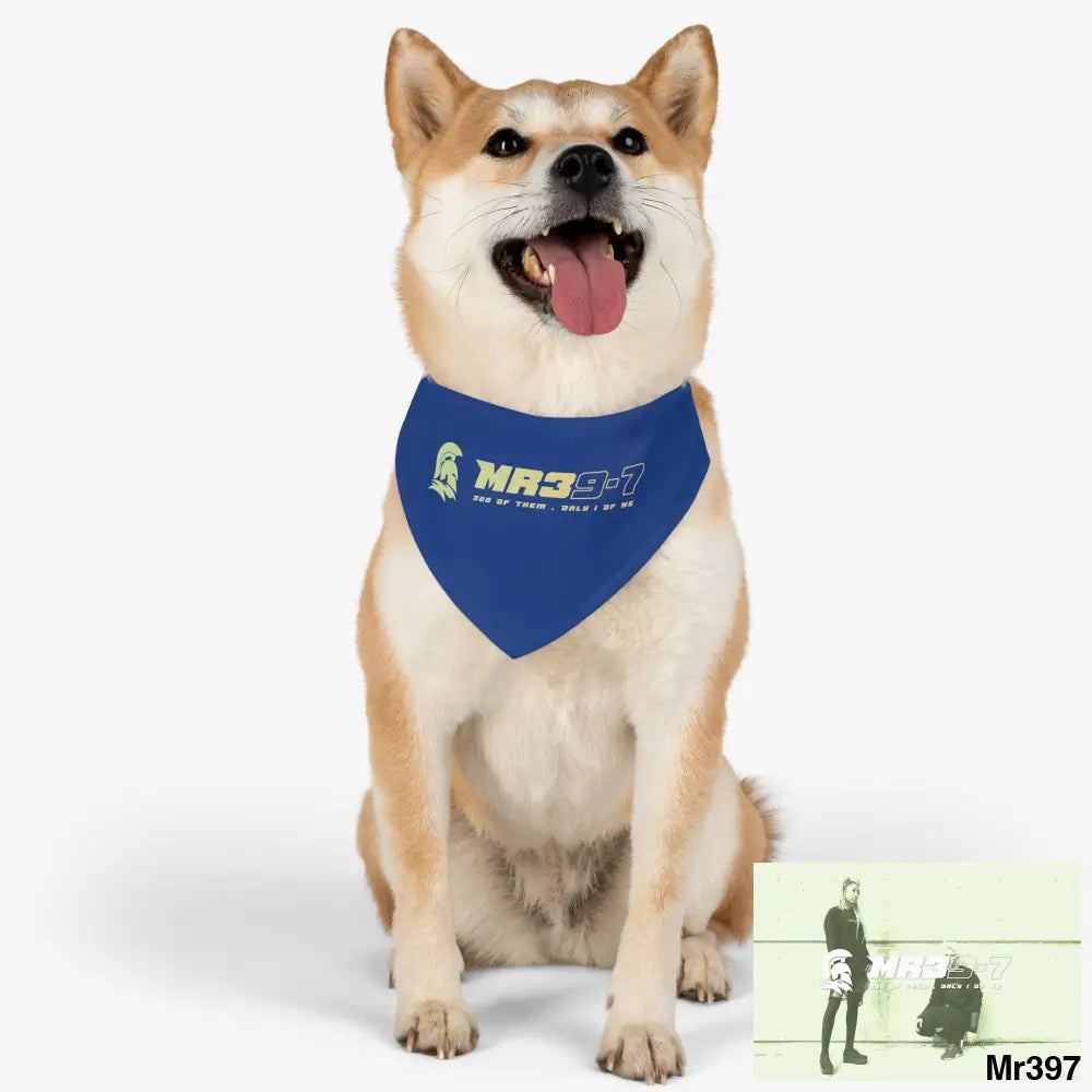 MR39 Pet Bandana Collar Pets