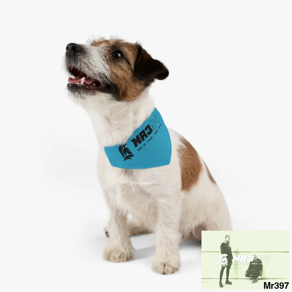 MR39 Pet Bandana Collar Pets