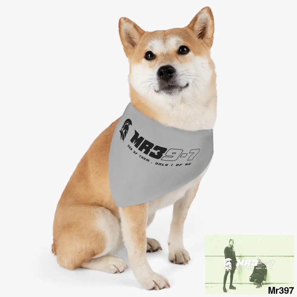 MR39 Pet Bandana Collar Pets
