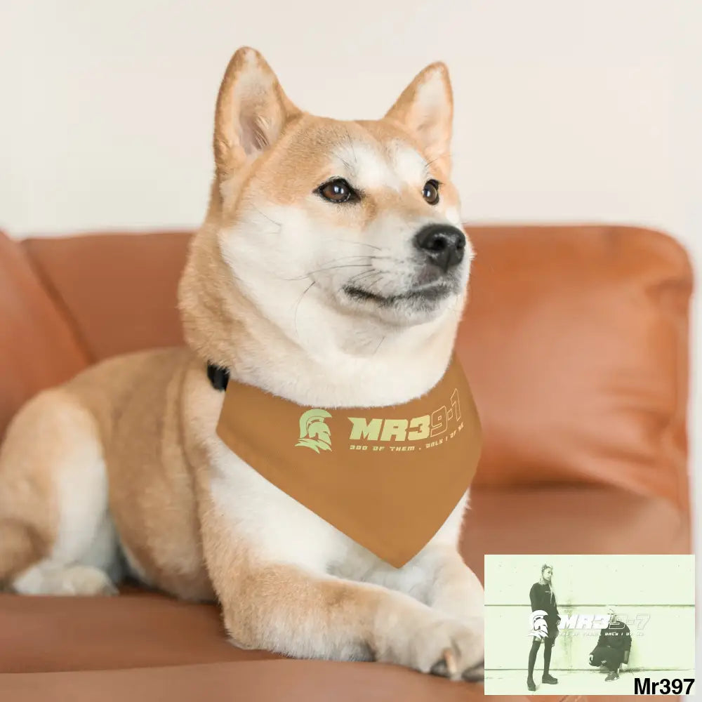 MR39 Pet Bandana Collar Pets