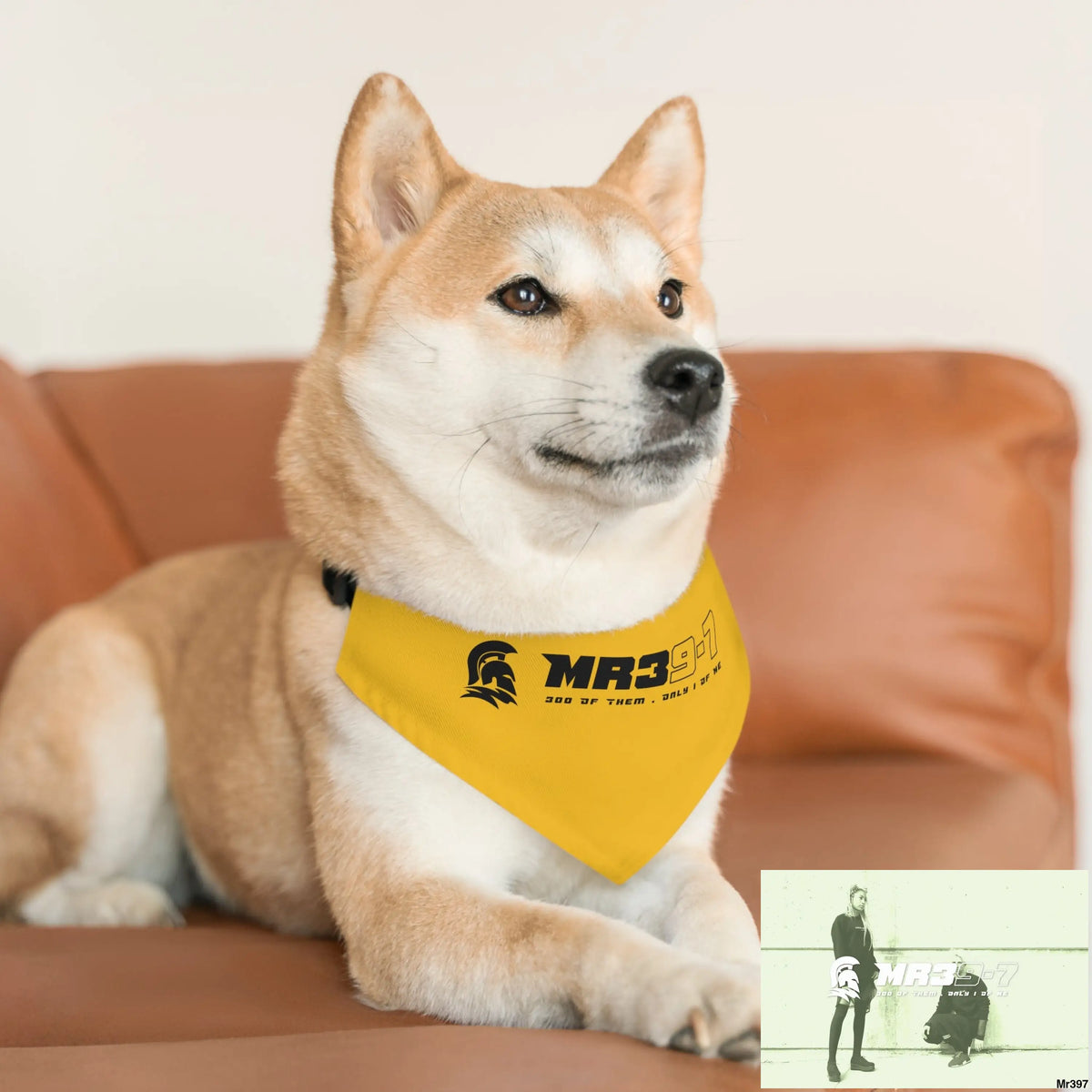 MR39 Pet Bandana Collar Pets